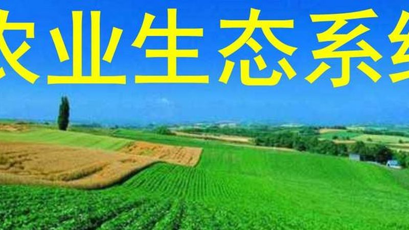 有机种植土壤改良，揭秘土壤健康密码