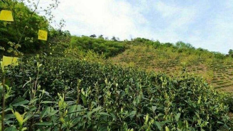 农民专业合作社税收优惠注意事项