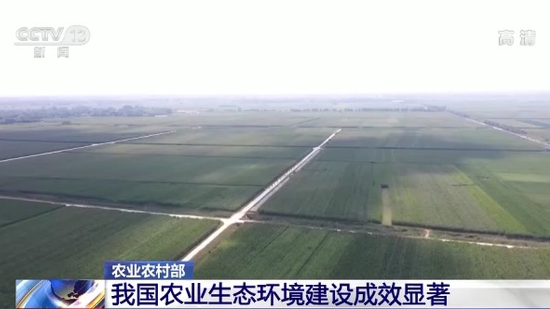 绿色食品认证企业条件解析：如何迈向高品质农业