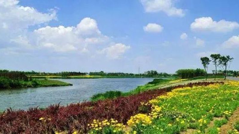 生物防治：农业生态平衡的守护者**