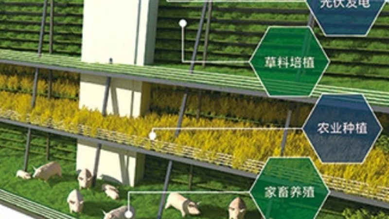 南方水果种植基地，这些品种值得关注