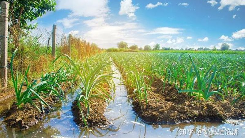 果蔬配送平台定制服务