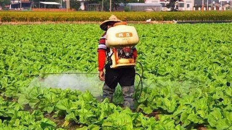 小型生态农场投资预算：关键要素与合理规划**